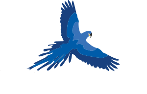 Brazil Birding Experts Logo